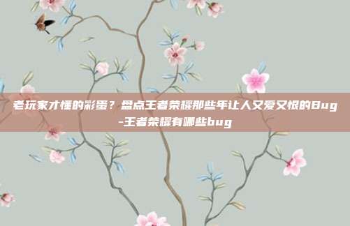 老玩家才懂的彩蛋?盘点王者荣耀那些年让人又爱又恨的Bug-王者荣耀有哪些bug