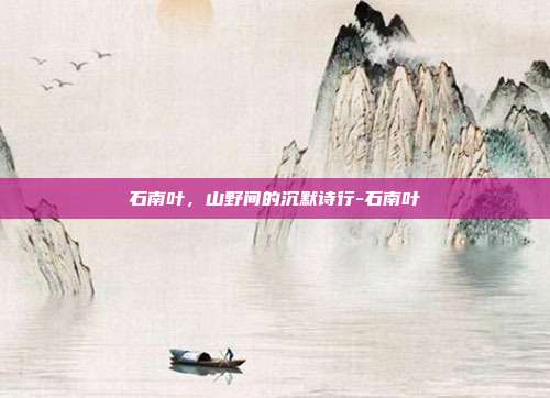 石南叶，山野间的沉默诗行-石南叶