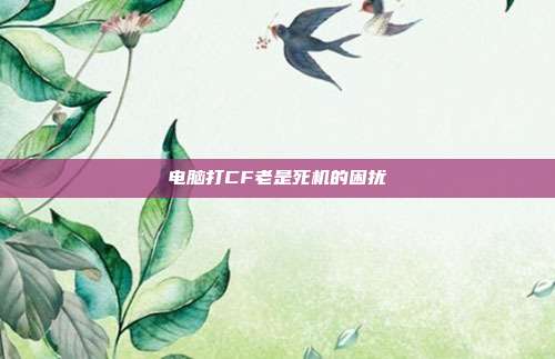 电脑打CF老是死机的困扰