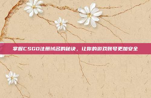 掌握CSGO注册域名的秘诀，让你的游戏账号更加安全