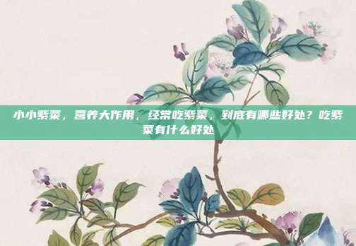 小小紫菜,营养大作用,经常吃紫菜,到底有哪些好处?吃紫菜有什么好处