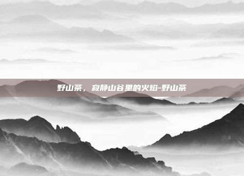 野山茶,寂静山谷里的火焰-野山茶
