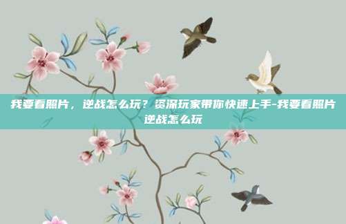 我要看照片，逆战怎么玩？资深玩家带你快速上手-我要看照片逆战怎么玩
