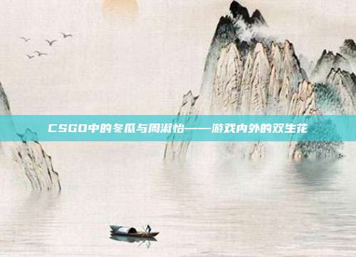CSGO中的冬瓜与周淑怡——游戏内外的双生花