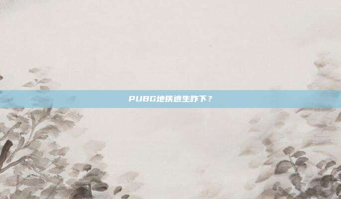 PUBG地铁逃生咋下?