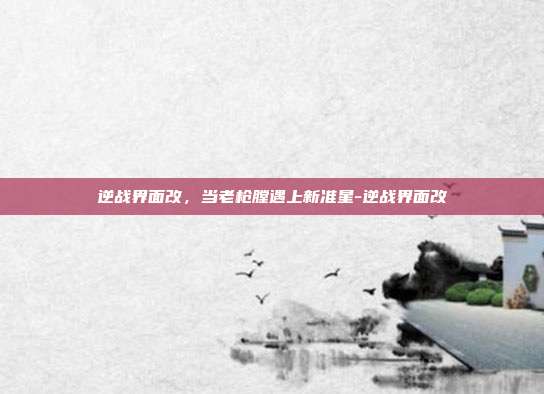 逆战界面改,当老枪膛遇上新准星-逆战界面改