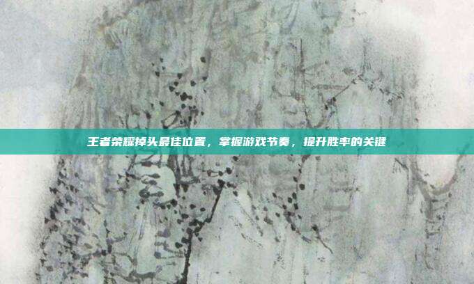 王者荣耀掉头最佳位置,掌握游戏节奏,提升胜率的关键