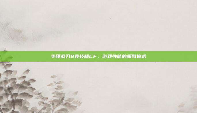 华硕战刃2竞技版CF,游戏性能的极致追求
