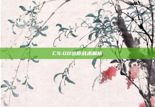 CS:GO远距战术解析