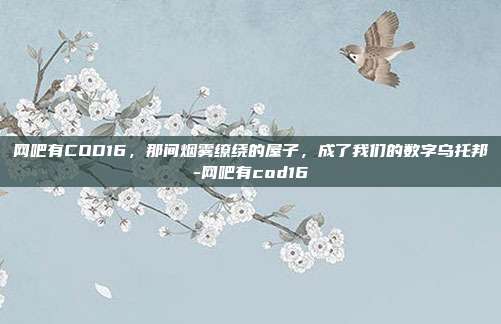 网吧有COD16,那间烟雾缭绕的屋子,成了我们的数字乌托邦-网吧有cod16