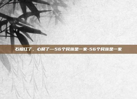 石榴红了,心聚了—56个民族是一家-56个民族是一家