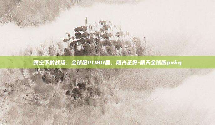 晴空下的战场,全球服PUBG里,阳光正好-晴天全球服pubg