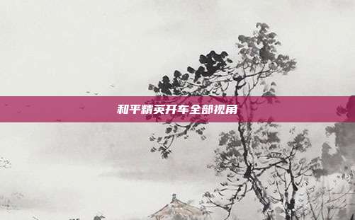 和平精英开车全部视角