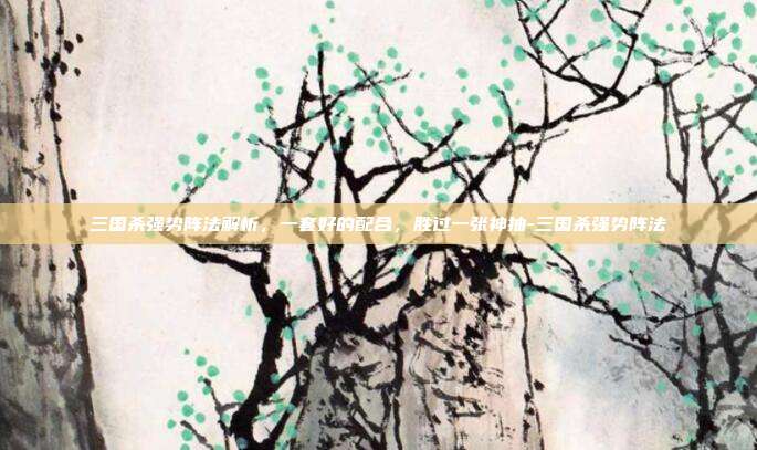 三国杀强势阵法解析,一套好的配合,胜过一张神抽-三国杀强势阵法