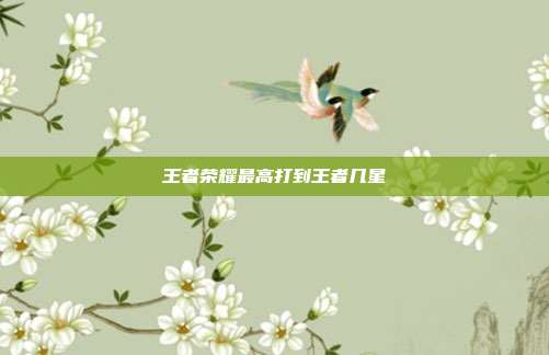 王者荣耀最高打到王者几星