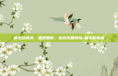 眉毛移植术,重塑眉形,告别无眉烦恼-眉毛移植术