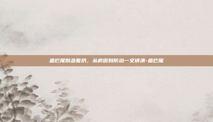 鱼烂尾别急着扔,从病因到防治一文讲清-鱼烂尾