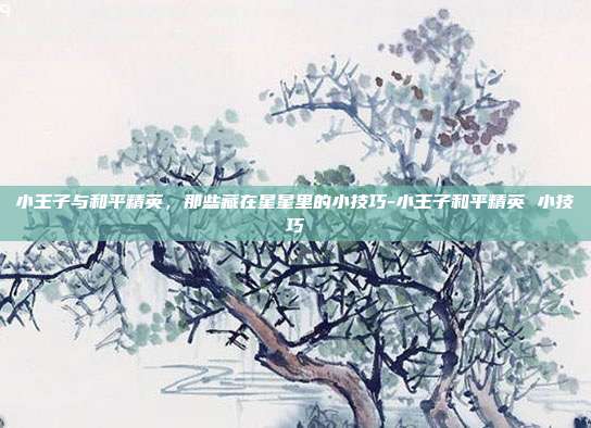 小王子与和平精英,那些藏在星星里的小技巧-小王子和平精英 小技巧