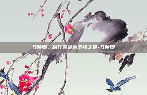 马蹄脚,踏碎苦难的坚韧之足-马蹄脚