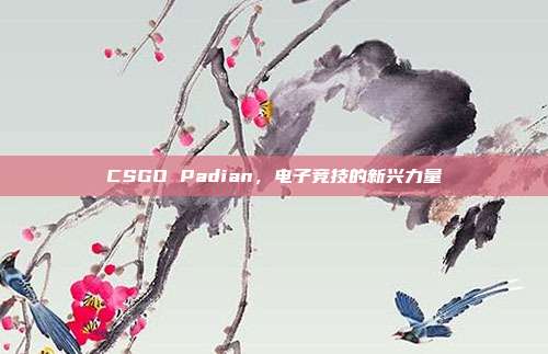 CSGO Padian，电子竞技的新兴力量