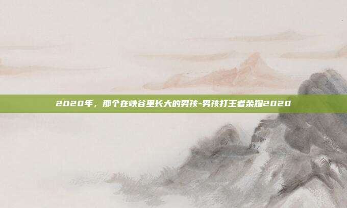 2020年，那个在峡谷里长大的男孩-男孩打王者荣耀2020