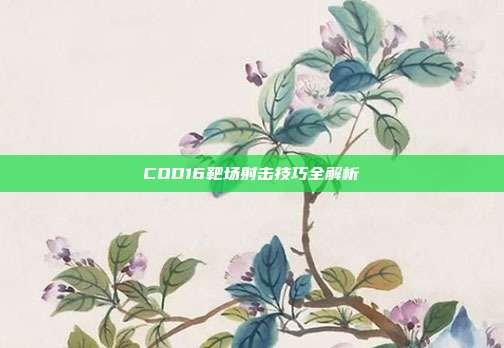 COD16靶场射击技巧全解析