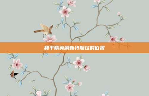 和平精英刷新特斯拉的位置