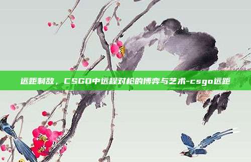 远距制敌，CSGO中远程对枪的博弈与艺术-csgo远距