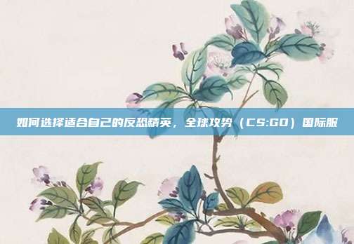 如何选择适合自己的反恐精英,全球攻势(CS:GO)国际服