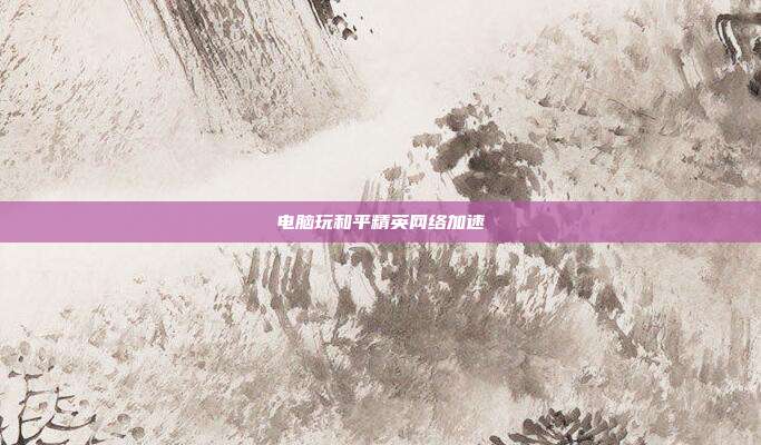电脑玩和平精英网络加速