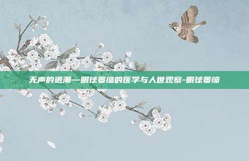 无声的退潮—眼球萎缩的医学与人世观察-眼球萎缩