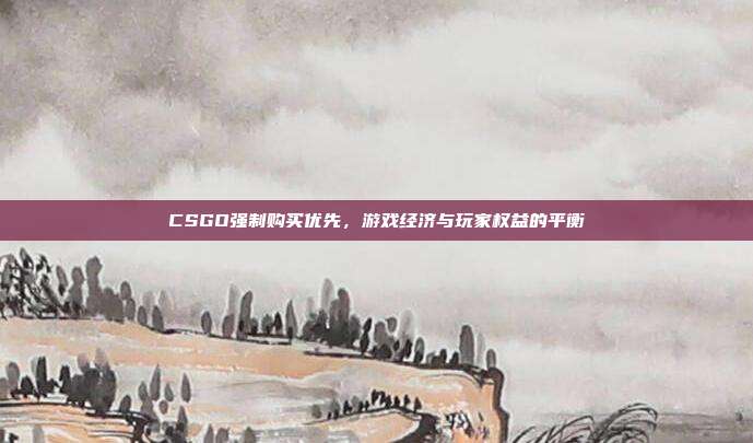 CSGO强制购买优先,游戏经济与玩家权益的平衡