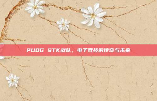 PUBG STK战队,电子竞技的传奇与未来