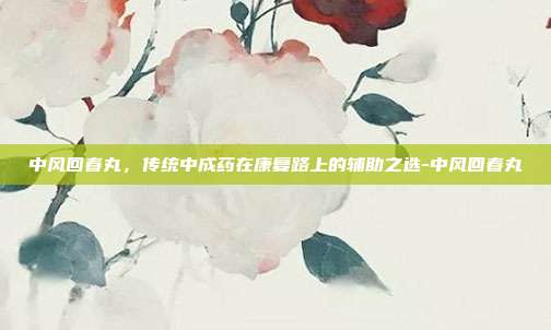 中风回春丸,传统中成药在康复路上的辅助之选-中风回春丸
