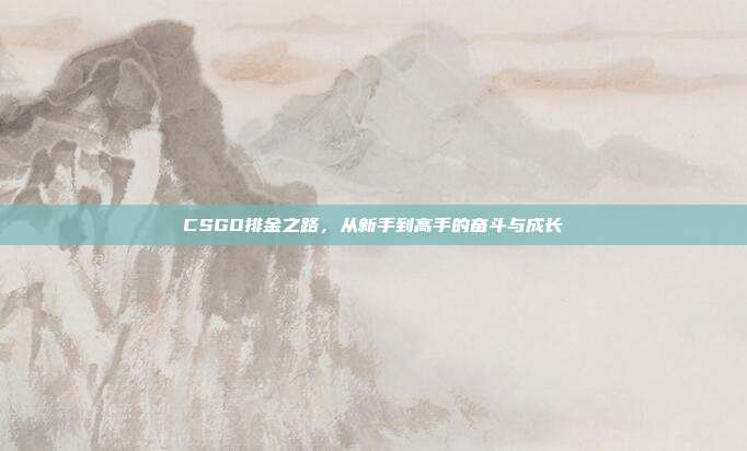 CSGO排金之路,从新手到高手的奋斗与成长