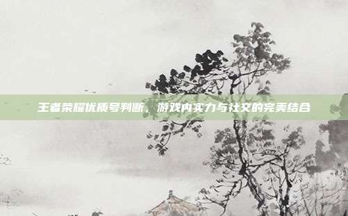 王者荣耀优质号判断，游戏内实力与社交的完美结合