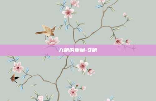 九磅的重量-9磅