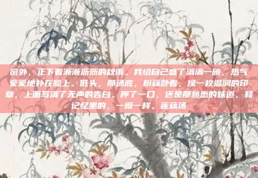 窗外,正下着淅淅沥沥的秋雨。我给自己盛了满满一碗,热气蒙蒙地扑在脸上。低头,那汤底,粉藕卧着,像一枚温润的印章,上面写满了无声的告白。呷了一口,还是那熟悉的味道,和记忆里的,一模一样。莲藕汤