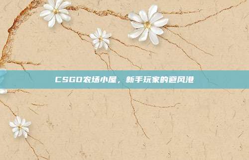CSGO农场小屋,新手玩家的避风港