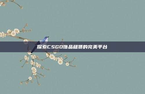 探索CSGO饰品租赁的完美平台