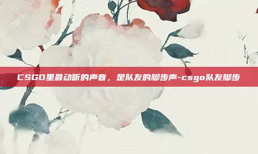 CSGO里最动听的声音，是队友的脚步声-csgo队友脚步