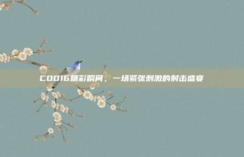 COD16精彩瞬间,一场紧张刺激的射击盛宴