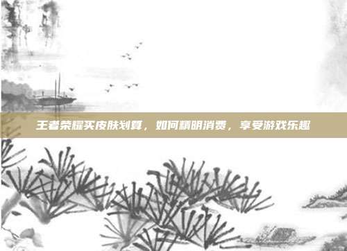 王者荣耀买皮肤划算,如何精明消费,享受游戏乐趣