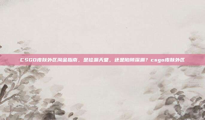 CSGO皮肤外区淘金指南,是捡漏天堂,还是陷阱深渊?csgo皮肤外区