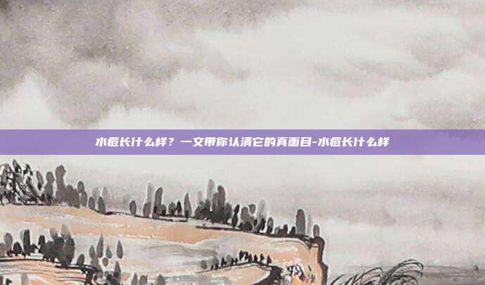 水痘长什么样?一文带你认清它的真面目-水痘长什么样