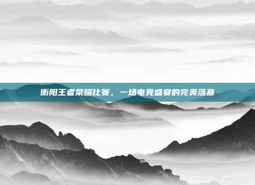 衡阳王者荣耀比赛，一场电竞盛宴的完美落幕