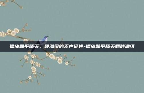 播放和平精英,静满级的无声征途-播放和平精英和静满级