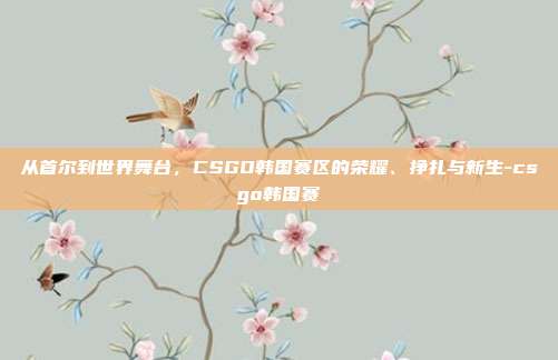 从首尔到世界舞台,CSGO韩国赛区的荣耀、挣扎与新生-csgo韩国赛