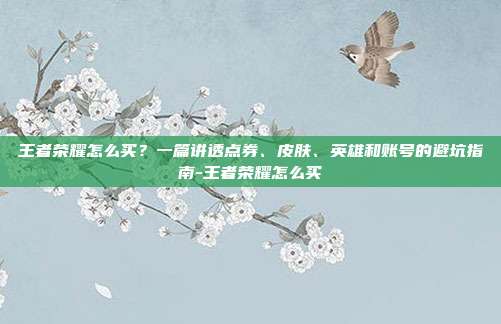 王者荣耀怎么买?一篇讲透点券、皮肤、英雄和账号的避坑指南-王者荣耀怎么买