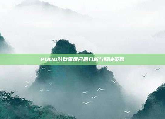 PUBG游戏黑屏问题分析与解决策略